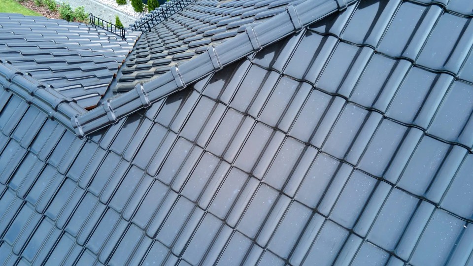 Roof Painting