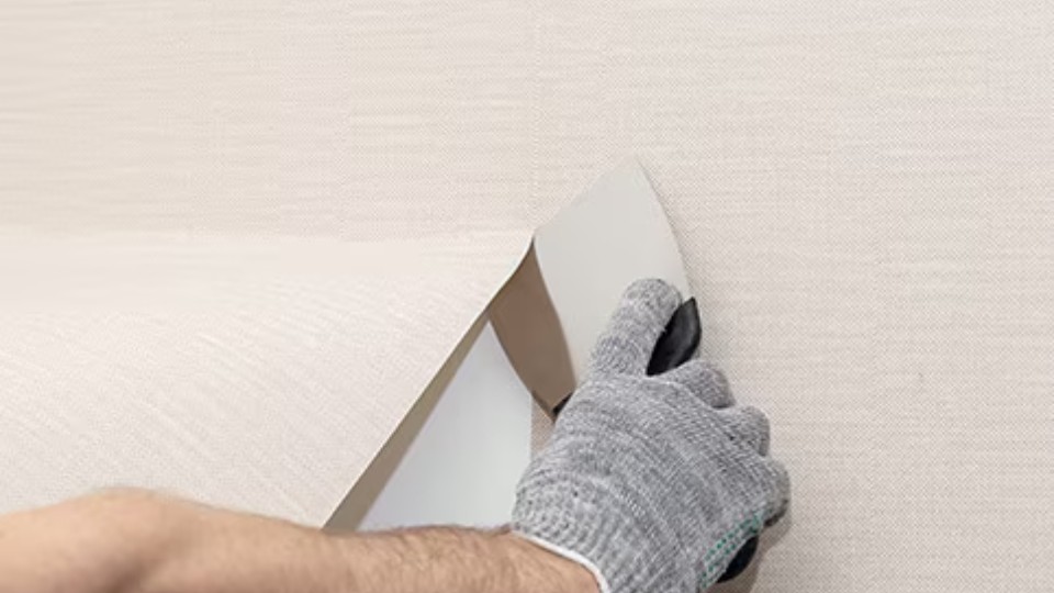 Wallpaper Removal