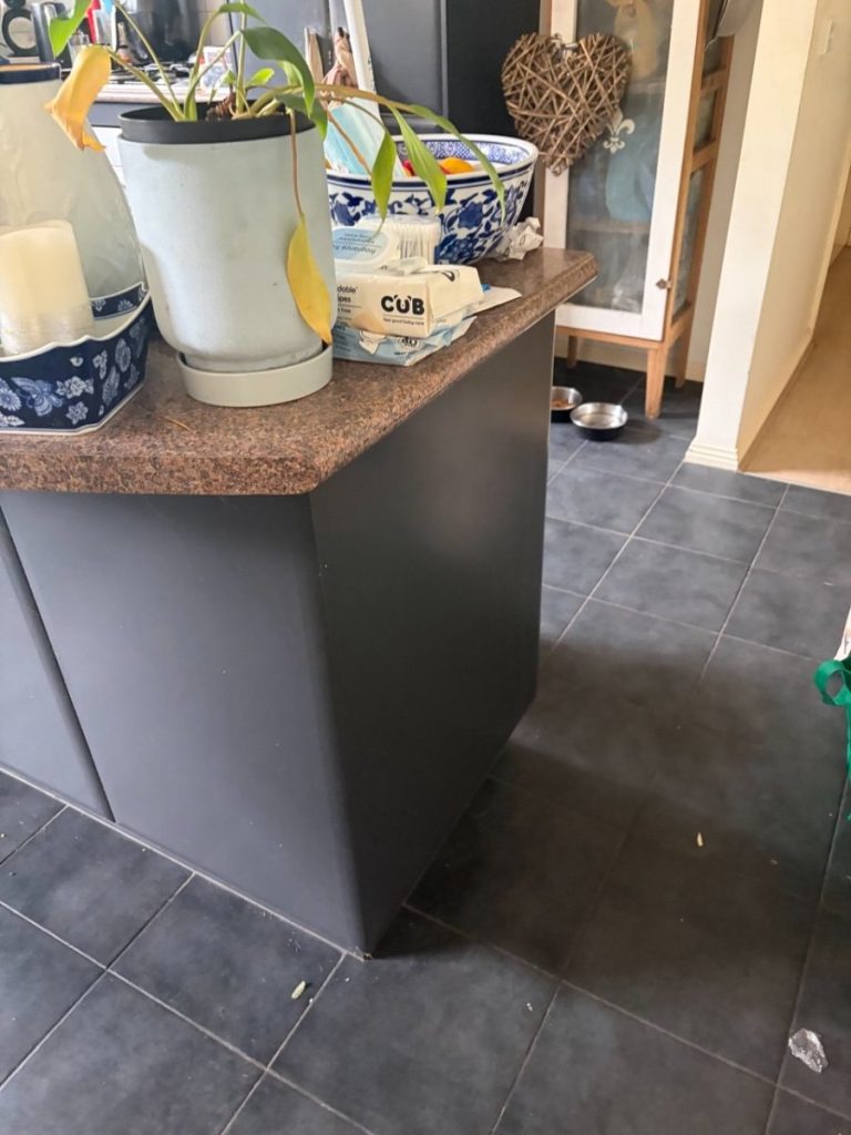 Kitchen island with a potted plant, tissue box, blue patterned bowls, and dog bowls on dark tiled floor.